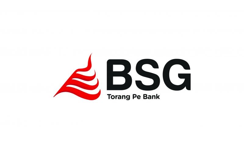 Logo BSG